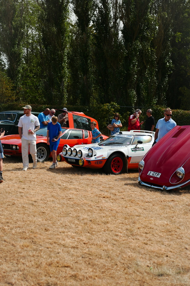 Classic rally cars on the grass