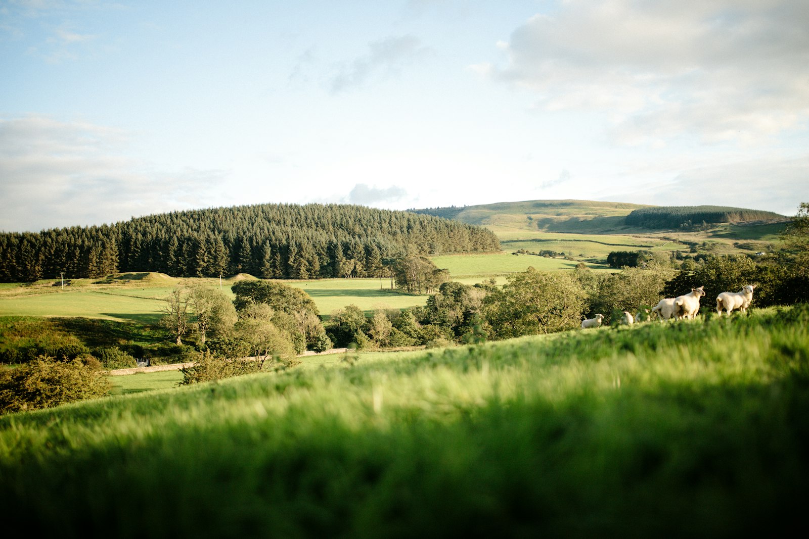 Vantom Village estate at Patchings Art Centre